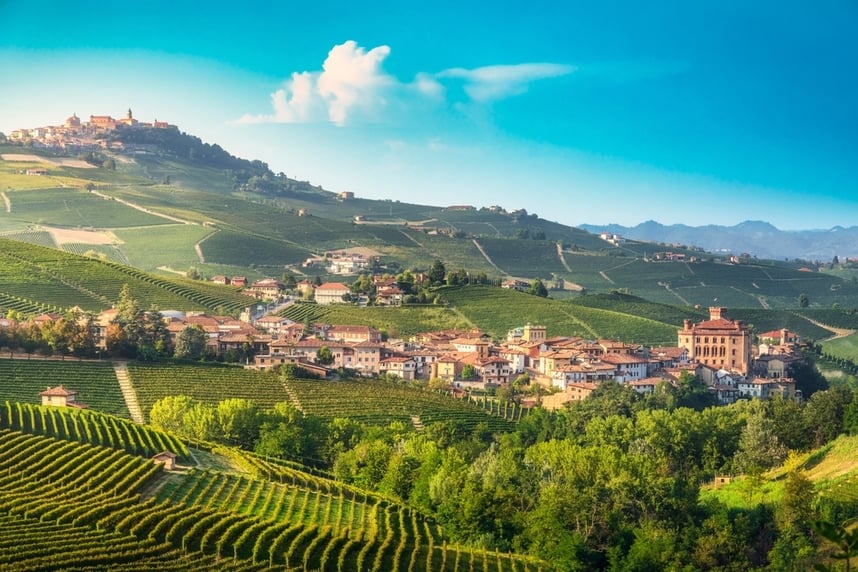 Barolo: Eigenschaften, Sorten und Kombinationen